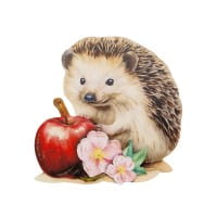 3-D Motive, Niedliche Igel, 7,5-8,5cm, 10 Motive