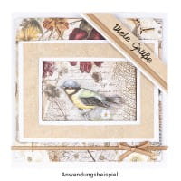 Klappkarten-Set, weiß, 14,5cm x 14,5cm, 240g/m², inkl. Umschläge, 50 Stück