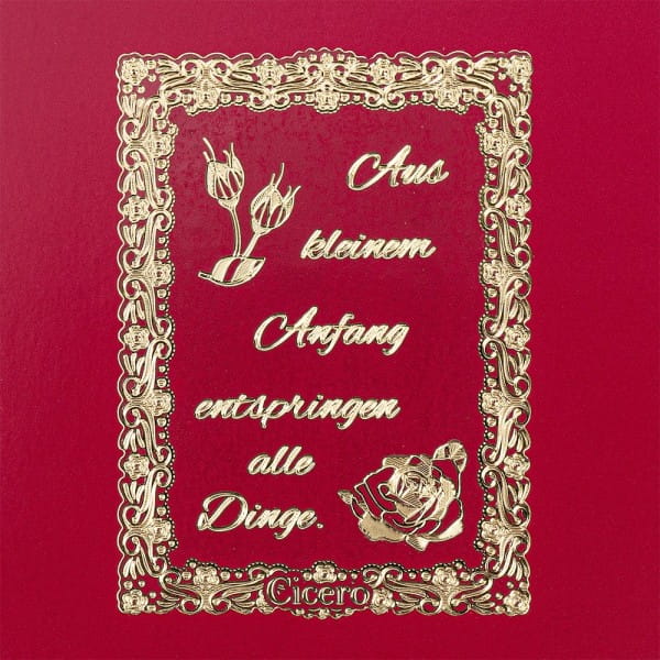 Gravur-Sticker, Lebensweisheiten 2, transparent/gold, 10 Bogen