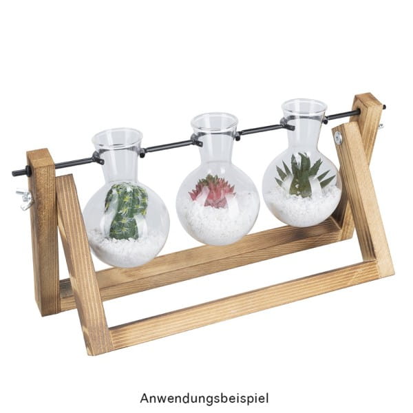 Glas-Vasen im Holzständer, 3 Glas-Vasen: Ø 6,5cm, 10cm hoch, Holzständer: 27cm breit