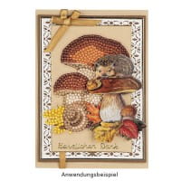 Laser-Kartenaufleger, Zierdeckchen Ornamente, 14,8cm x 10,5cm, 4 Farbtöne, 20 Stück