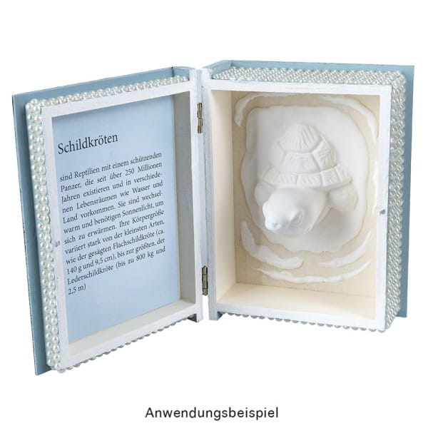 Boxen, Holz, Bücher, verschiedene Größen, 5 Stück