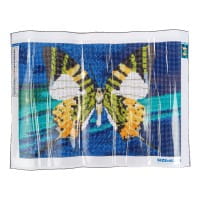 Diamond-Painting-Bild, Schmetterling 2, 25cm x 35cm, inkl. Werkzeug