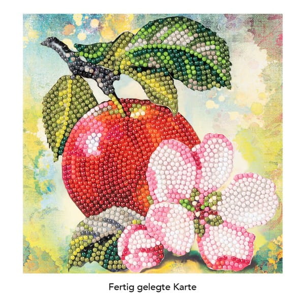 Diamond-Painting-Grußkarte, Apfel mit Blüte, 16cm x 16cm, inkl. Zubehör