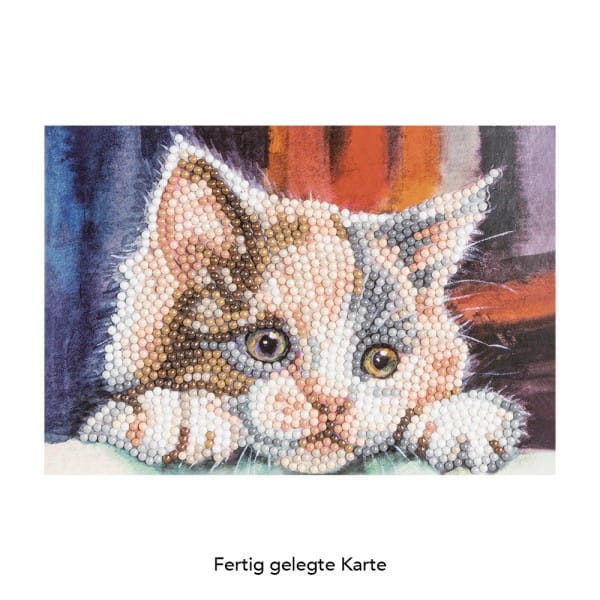 Diamond-Painting-Grußkarte, Katze, 16,5cm x 11,5cm, inkl. Zubehör