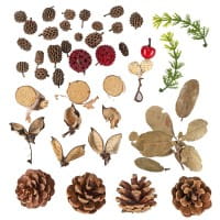 Potpourri Waldmix, 80g