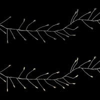 LED-Cluster-Drahtlichterkette, 100 LEDs in Warmweiß, 2,5cm Lichtabstand, inkl. Timer