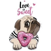 Color Bügeltransfer, DIN A4, Mops mit Donut