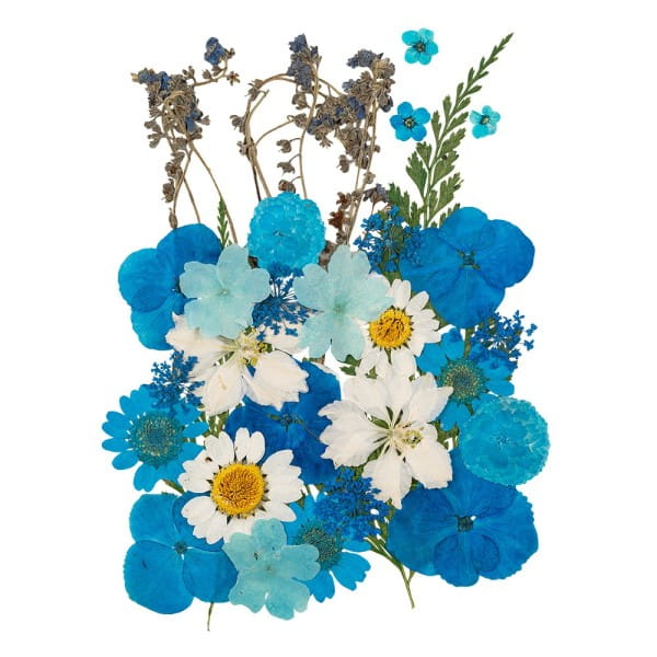 Blumen, getrocknet & gepresst, verschiedene filigrane Blumen in Blau | Kartenschmuck | Grußkartengestaltung | Bastelbedarf
