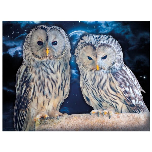 Diamond-Painting-Bild, Eulen 1, 35cm x 25cm, inkl. Werkzeug
