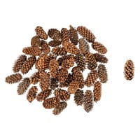 Wald-Deko, Tannenzapfen, verschiedene Größen, 100g