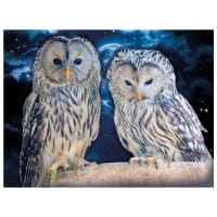 Diamond-Painting-Bild, Eulen 1, 35cm x 25cm, inkl. Werkzeug