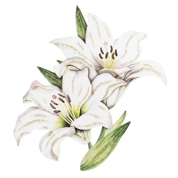 3-D Motive, Blumen in Weiß, 7-11cm, 10 Motive
