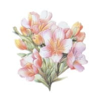 3-D Relief-Sticker, Blumensträuße 1, verschiedene Größen, selbstklebend
