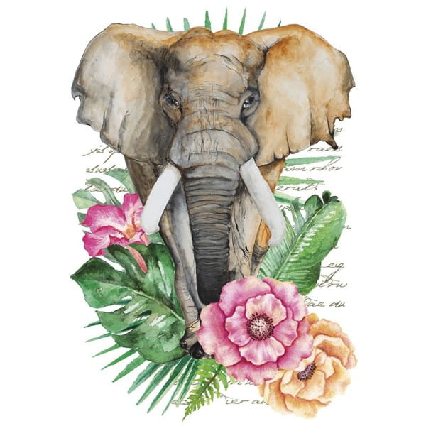Color Bügeltransfers, DIN A4, filigran ohne Hintergund, Tropical Elefant