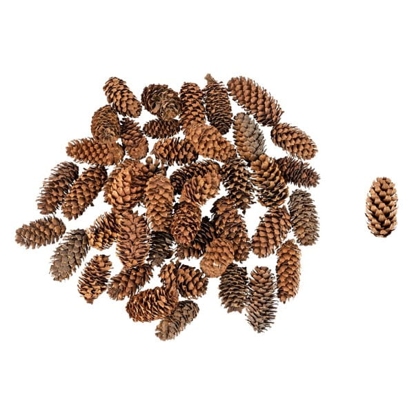 Wald-Deko, Tannenzapfen, verschiedene Größen, 100g