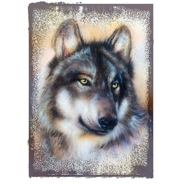 Color Bügeltransfers, DIN A4, Wolf