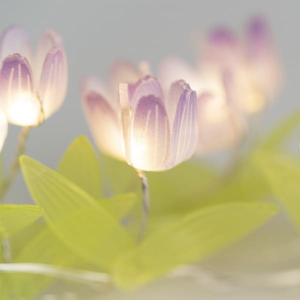 LED-Drahtlichterkette Blümchen, 10 LEDs in Warmweiß, 0,75m lang, Timer
