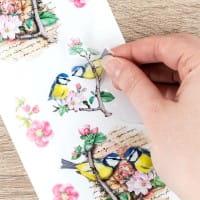 Transparent-Stickerbogen, Vintage Vögel & Schmetterlinge, versch. Designs, 10cm x 30cm, 10 Bogen