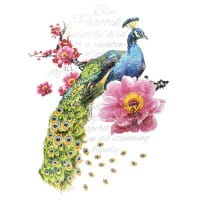 Color Bügeltransfer, Glitzer, DIN A4, Pfau 1