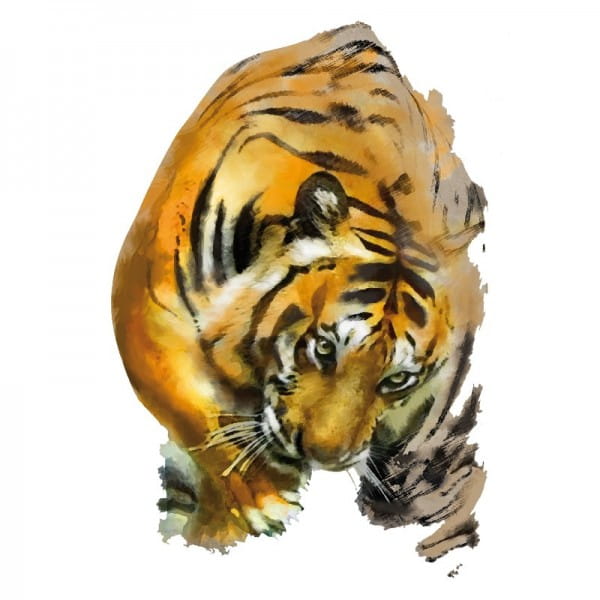 Color Bügeltransfers, DIN A4, Tiger 3