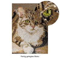 Diamond-Painting-Bild, Strass, Katze 2, 25cm x 35cm, inkl. Werkzeug