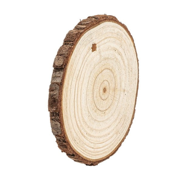Baumscheiben, Ø 8cm bis 9cm, 0,6cm stark, 25 Stück