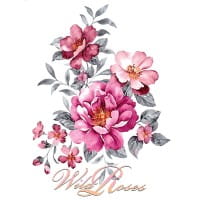 Color Bügeltransfer, Glitzer, DIN A4, Heckenrose