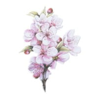 3-D Relief-Sticker, Blumensträuße 4, verschiedene Größen, selbstklebend