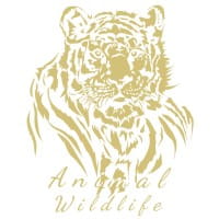 Metallic-Bügeltransfer, Tiger, DIN A4, gold glänzend