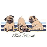 Color Bügeltransfer, DIN A4, Best Friends (Mops)