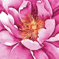 Color Bügeltransfer, Glitzer, DIN A4, Heckenrose