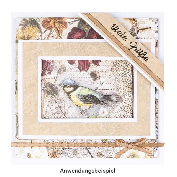 Klappkarten-Set, weiß, 14,5cm x 14,5cm, 240g/m², inkl. Umschläge, 50 Stück