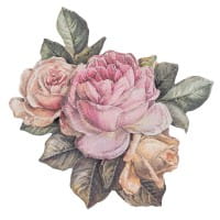 3-D Motive, Vintage-Rosen, mit Perlmutt-Leinenstruktur, 7-10,5cm, 10 Motive