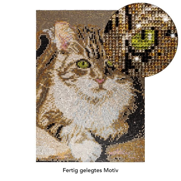 Diamond-Painting-Bild, Strass, Katze 2, 25cm x 35cm, inkl. Werkzeug