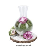 Glas-Vasen im Holzständer, 3 Glas-Vasen: Ø 6,5cm, 10cm hoch, Holzständer: 27cm breit