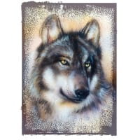 Color Bügeltransfers, DIN A4, Wolf
