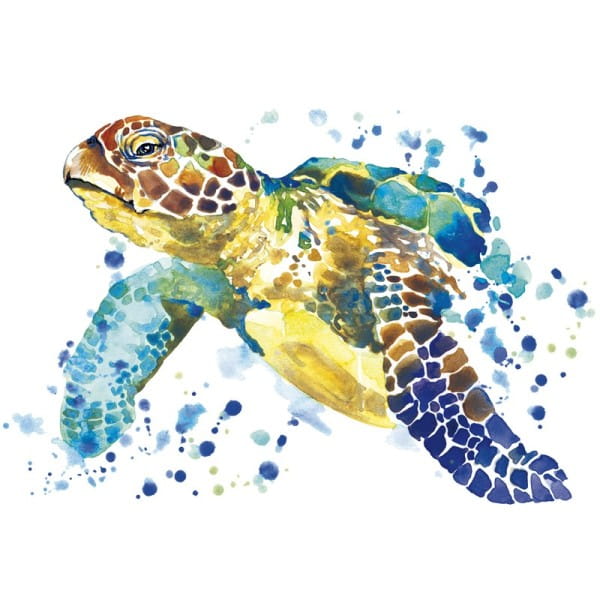Color Bügeltransfer, DIN A4, Schildkröte