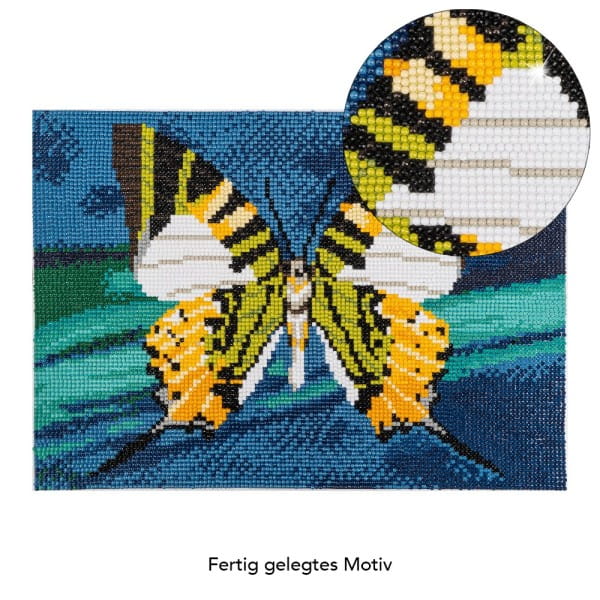 Diamond-Painting-Bild, Schmetterling 2, 25cm x 35cm, inkl. Werkzeug