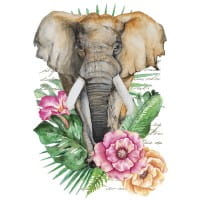 Color Bügeltransfers, DIN A4, filigran ohne Hintergund, Tropical Elefant