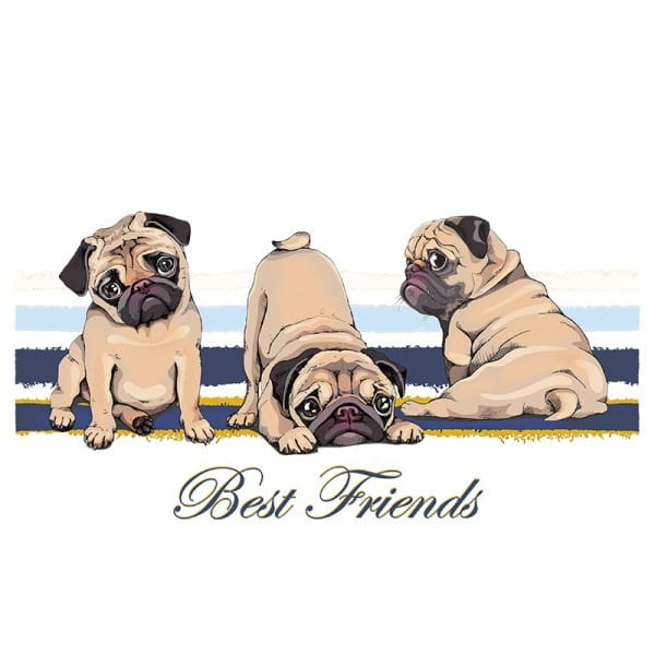 Color Bügeltransfer, DIN A4, Best Friends (Mops)
